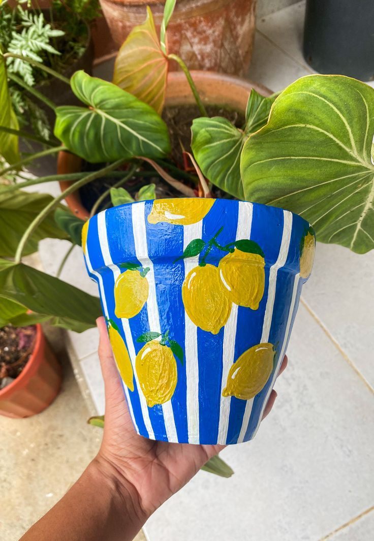 Hand-painted terracotta pot